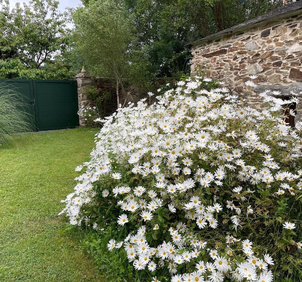 Apartamento Turistico Con Precioso Jardin - Los Gayoles Rural 卡斯特罗波尔 外观 照片